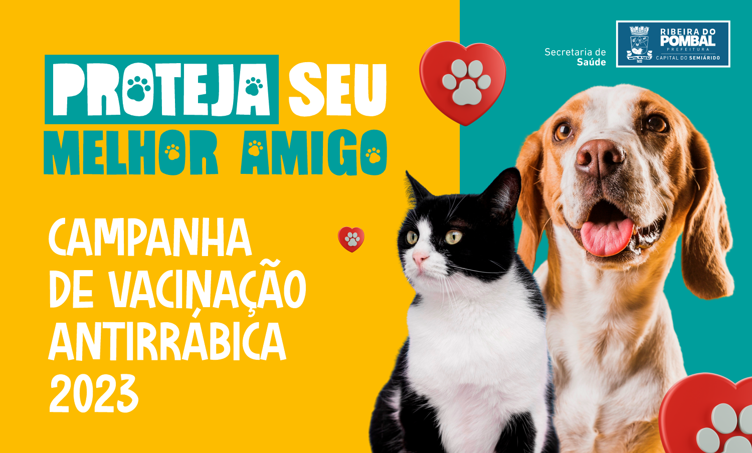 Inicia-se A Campanha De Vacinação Antirrábica 2023 Para Cães E Gatos Em ...